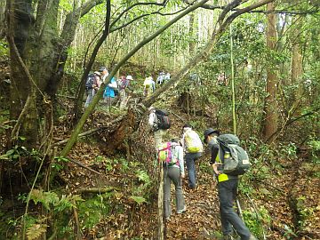 20160507-093845.jpg 20160507-093845.jpg