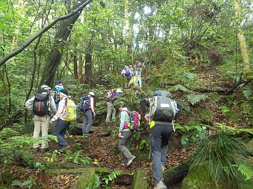20160507-094155.jpg 20160507-094155.jpg