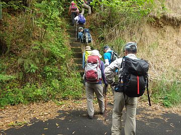 20160507-094950.jpg 20160507-094950.jpg