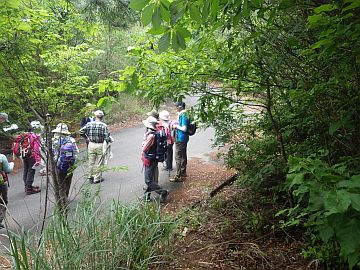 20160507-105132.jpg 20160507-105132.jpg
