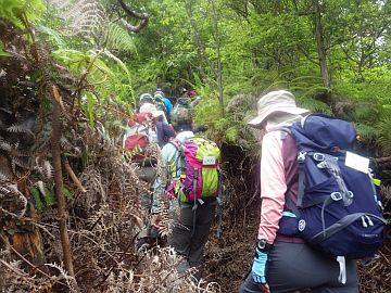 20160507-110227.jpg 20160507-110227.jpg