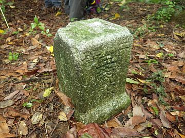 20160507-112314.jpg 20160507-112314.jpg