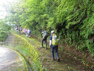 20160507-124443.jpg 20160507-124443.jpg