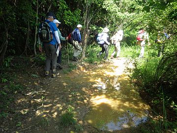 20160514-095954.jpg 20160514-095954.jpg