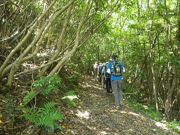 20160514-101429.jpg 20160514-101429.jpg