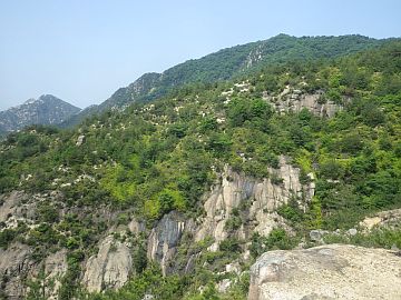 20160514-110815.jpg 20160514-110815.jpg