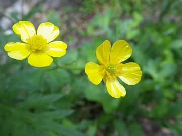 20160514-133019.jpg 20160514-133019.jpg