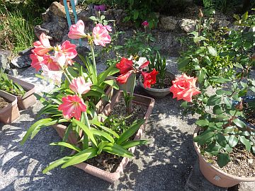 20160521-092704.jpg 20160521-092704.jpg