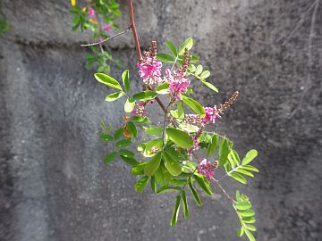 20160521-094133.jpg 20160521-094133.jpg