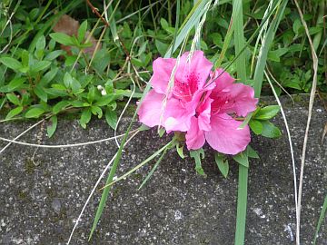 20160521-103324.jpg 20160521-103324.jpg