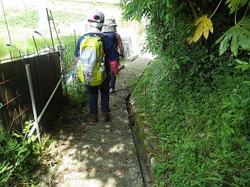 20160521-130503.jpg 20160521-130503.jpg
