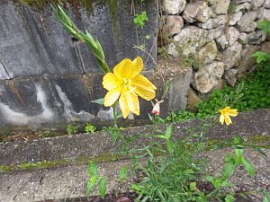 20160528-093340.jpg 20160528-093340.jpg