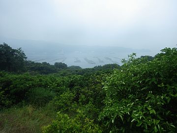 20160528-094935.jpg 20160528-094935.jpg
