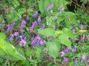 20160528-095209.jpg 20160528-095209.jpg