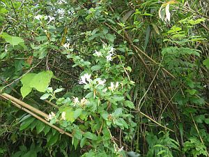 20160528-102438.jpg 20160528-102438.jpg