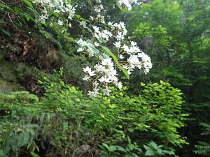 20160528-123441.jpg 20160528-123441.jpg