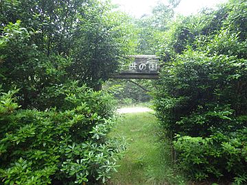 20160528-124411.jpg 20160528-124411.jpg