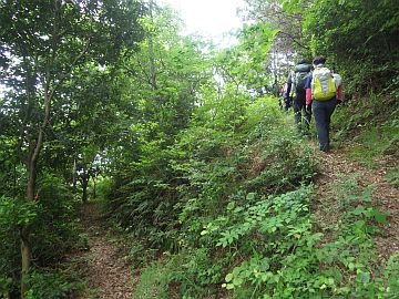 20160604-091527.jpg 20160604-091527.jpg
