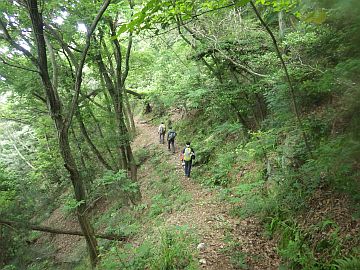20160604-092040.jpg 20160604-092040.jpg