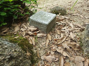 20160604-102100.jpg 20160604-102100.jpg