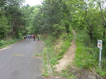 20160604-111056.jpg 20160604-111056.jpg