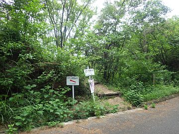 20160604-111413.jpg 20160604-111413.jpg