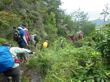 20160604-125646.jpg 20160604-125646.jpg