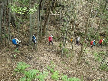 20160604-130631.jpg 20160604-130631.jpg
