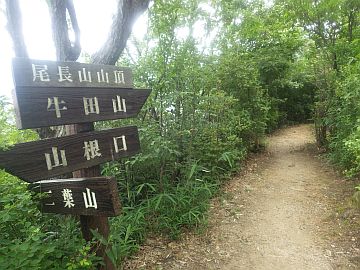 20160702-103744.jpg 20160702-103744.jpg