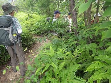 20160702-105247.jpg 20160702-105247.jpg