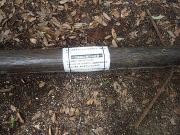20160702-105930.jpg 20160702-105930.jpg