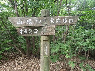 20160702-110616.jpg 20160702-110616.jpg