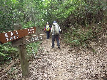 20160702-110739.jpg 20160702-110739.jpg