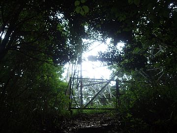 20160702-110802.jpg 20160702-110802.jpg