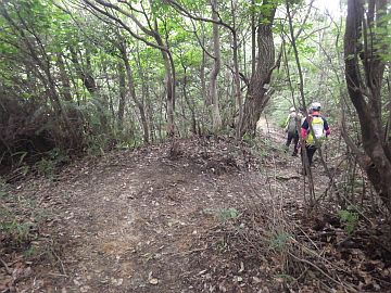20160702-111040.jpg 20160702-111040.jpg