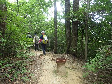 20160702-111907.jpg 20160702-111907.jpg