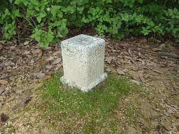 20160702-112944.jpg 20160702-112944.jpg