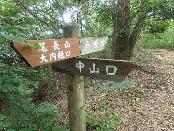 20160702-113435.jpg 20160702-113435.jpg