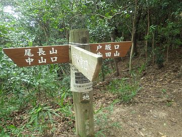 20160702-115639.jpg 20160702-115639.jpg