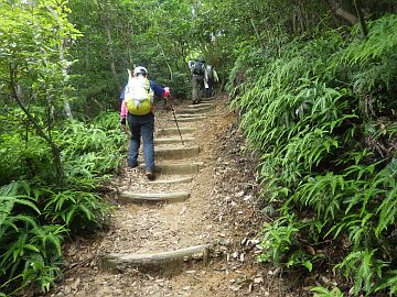 20160702-120129.jpg 20160702-120129.jpg