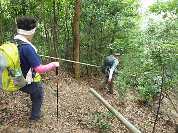 20160702-125429.jpg 20160702-125429.jpg