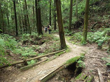 20160702-130443.jpg 20160702-130443.jpg