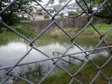 20160702-132140.jpg 20160702-132140.jpg