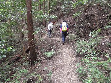 20160702-150422.jpg 20160702-150422.jpg