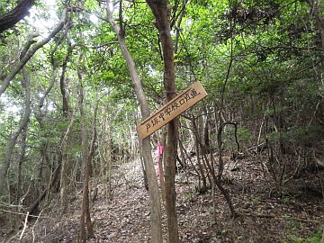 20160702-150552.jpg 20160702-150552.jpg