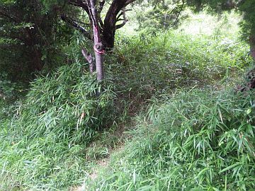 20160702-154825.jpg 20160702-154825.jpg