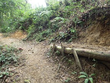 20160710-095341.jpg 20160710-095341.jpg