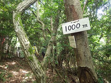 20160710-102849.jpg 20160710-102849.jpg