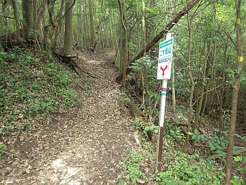 20160710-120241.jpg 20160710-120241.jpg