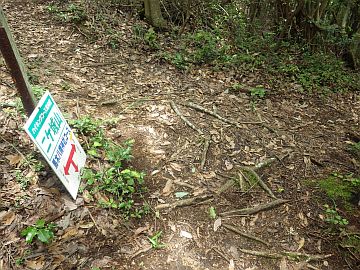 20160710-125800.jpg 20160710-125800.jpg
